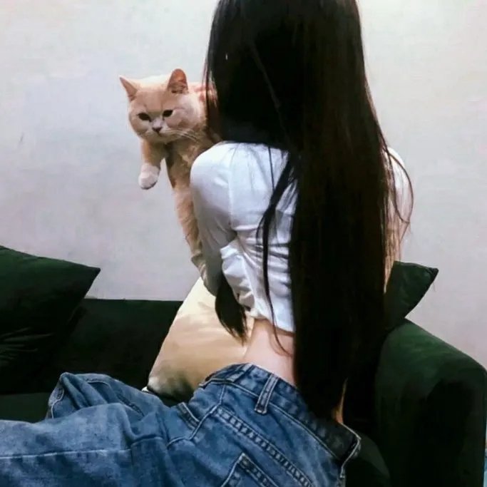 南宋猎人之决战御街